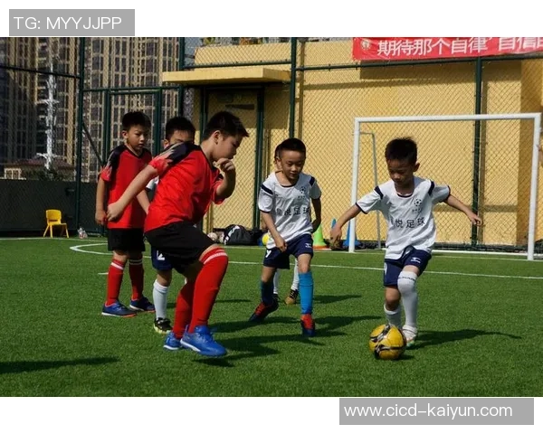 踢足球的乐趣与团队精神培养的重要性探讨